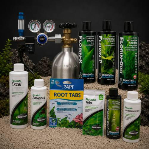 CO2 & Additives