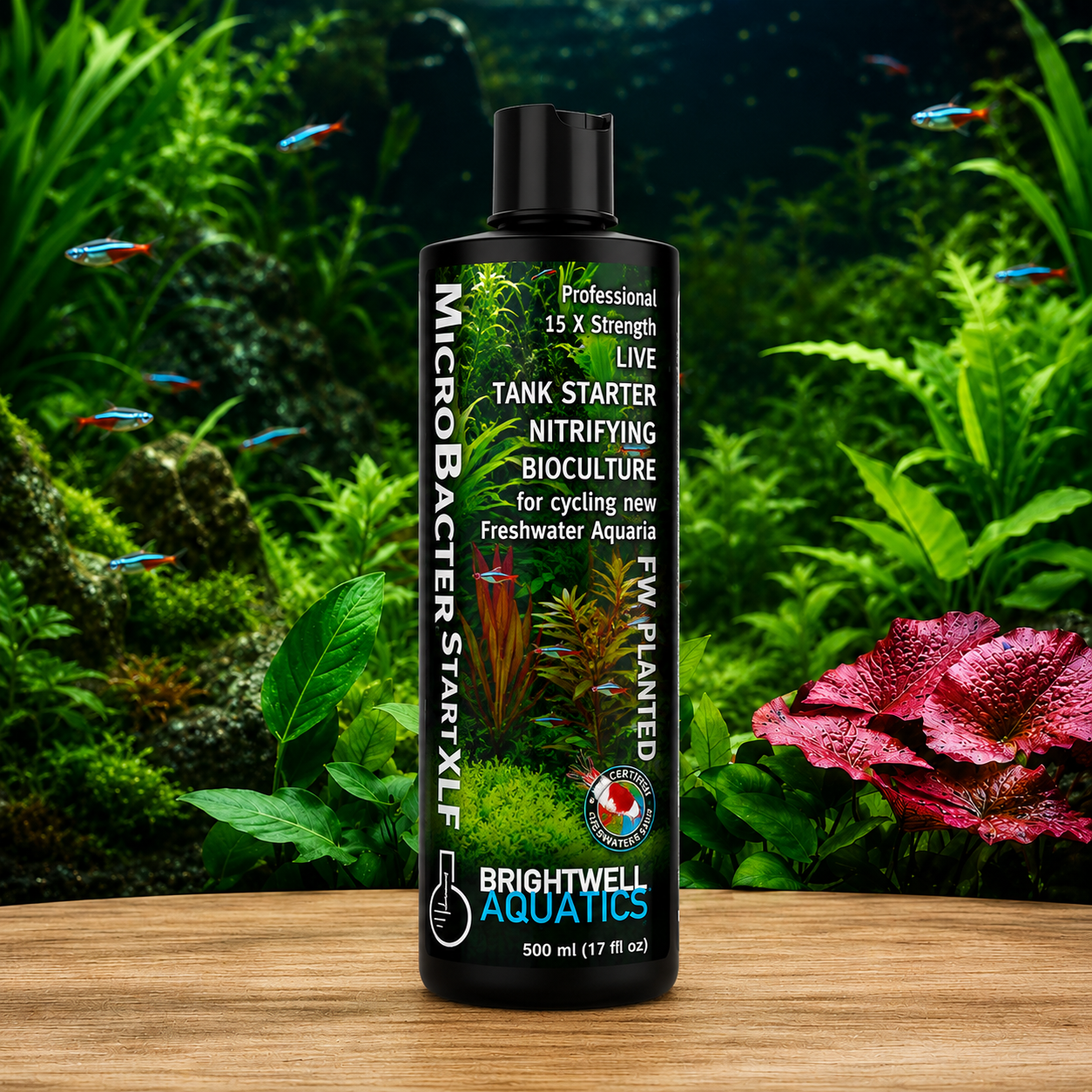 BrightWell Aquatics - MicroBacter Start XLF (250 ML)